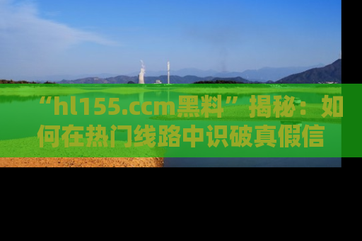 “hl155.ccm黑料”揭秘：如何在热门线路中识破真假信息