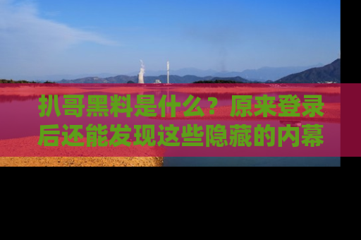 扒哥黑料是什么？原来登录后还能发现这些隐藏的内幕！