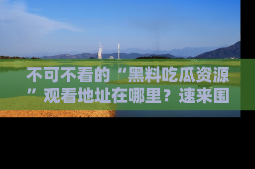 不可不看的“黑料吃瓜资源”观看地址在哪里？速来围观吧！
