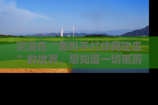 沉浸在“黑料不打烊网吃瓜”的世界，想知道一切黑历史与内幕信息的网站！