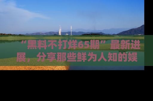 “黑料不打烊65期”最新进展，分享那些鲜为人知的娱乐八卦