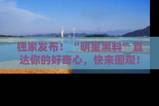 独家发布！“明星黑料”直达你的好奇心，快来围观！
