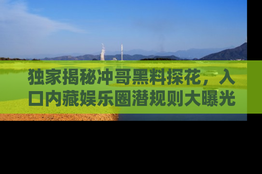 独家揭秘冲哥黑料探花，入口内藏娱乐圈潜规则大曝光