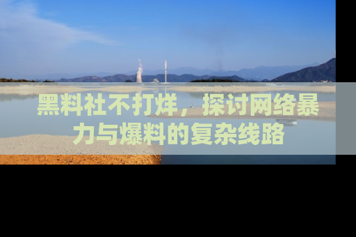 黑料社不打烊，探讨网络暴力与爆料的复杂线路