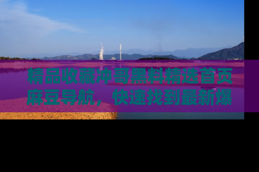 精品收藏冲哥黑料精选首页麻豆导航，快速找到最新爆料