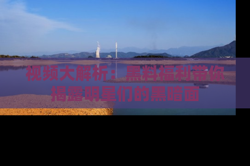 视频大解析:黑料福利带你揭露明星们的黑暗面