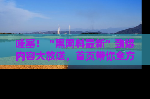 哇塞！“黑网料最新”劲爆内容大放送，首页带你全方位了解哦，小可爱们