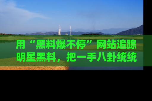 用“黑料爆不停”网站追踪明星黑料,把一手八卦统统收进你的后宫中!