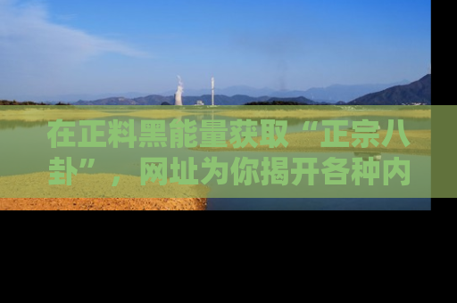 在正料黑能量获取“正宗八卦”,网址为你揭开各种内幕故事!